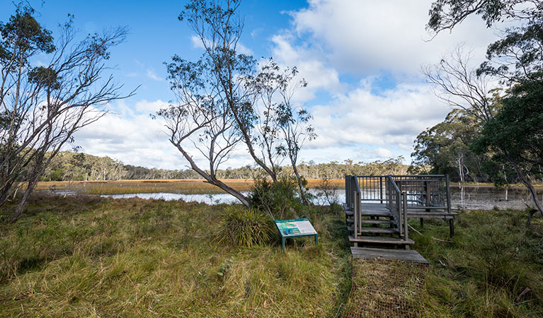 Viewing platform overlooking Nunnock's swamp and grasslands. Photo: John Spencer/OEH