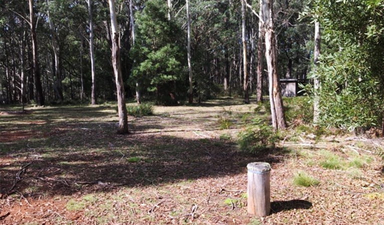 Nunnock campground sites surrounded by woodland.  Photo: Lawani Colley/OEH