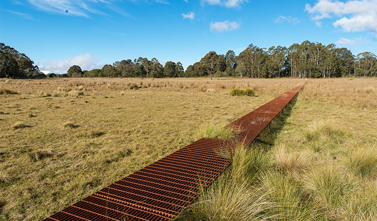 Metal walkway stretching across grassed plain on a dry area of Nunnock swamp. John Spencer/OEH