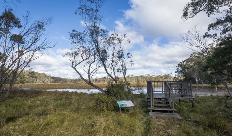 A viewing platform and interpretive signage looking out towards Nunnock Swamp along Nunnock Swamp and Grasslands walking tracks. Photo: John Spencer &copy; DPE