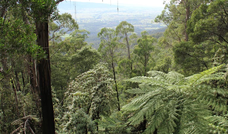 Pipers lookout, South East Forest National Park. Photo credit: John Yurasek &copy; DPIE