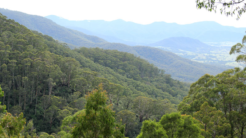 Pipers lookout, South East Forest National Park. Photo credit: John Yurasek &copy; DPIE