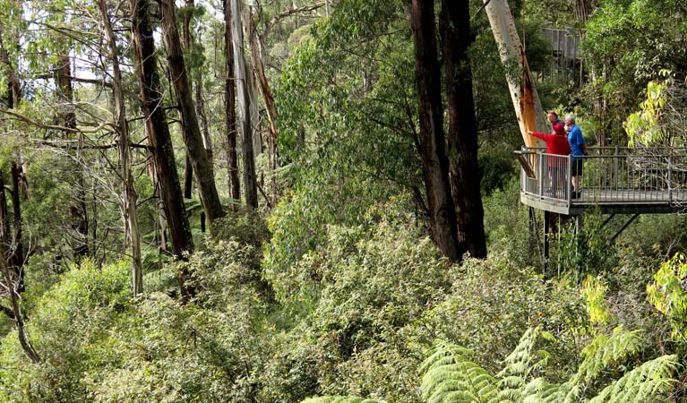 People standing on Pipers lookout, South East Forest National Park. Photo credit: John Yurasek &copy; DPIE