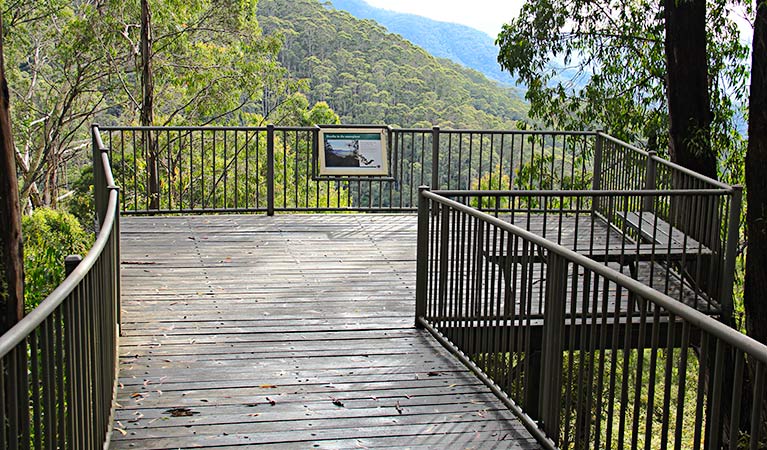 Pipers Lookout, South East Forest National Park. Photo credit: John Yurasek &copy; DPIE