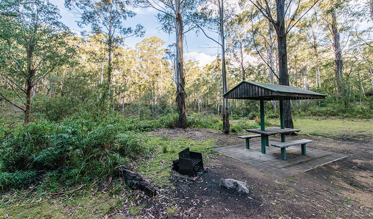Postmans campground in sunlit forest with a sheltered picnic table and wood barbecue. Photo: John Spencer/OEH