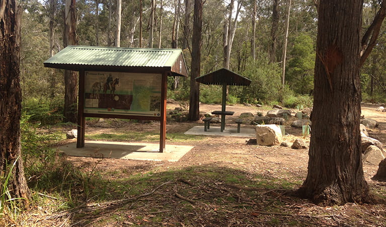 Postmans campground on a sunny day showing visitor information board and picnic shelter. Photo: Lawani Colley/OEH