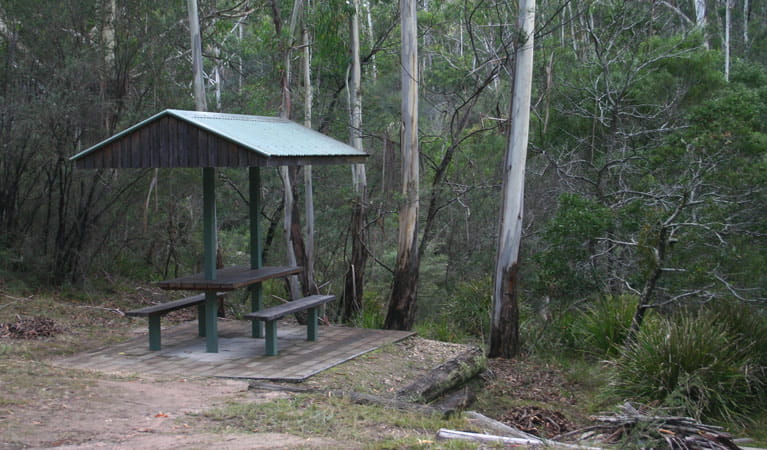 White Rock River picnic area, South East Forest National Park. Photo credit: David Costello &copy; DPIE