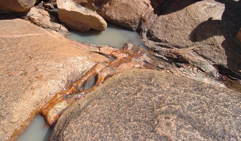 Stonewoman Aboriginal Area. Photo: NSW Government