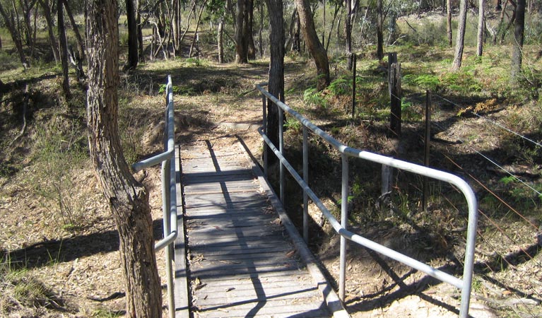 Stonewoman Aboriginal Area. Photo: NSW Government