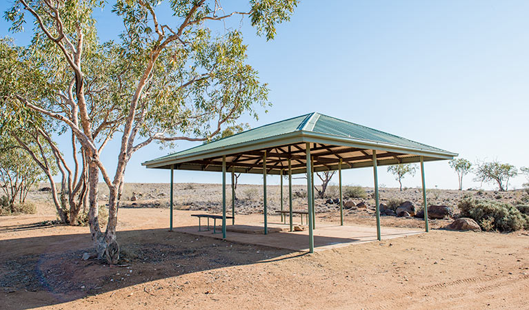 Shelter with benches at Dead Horse Gully campground. Photo: John Spencer