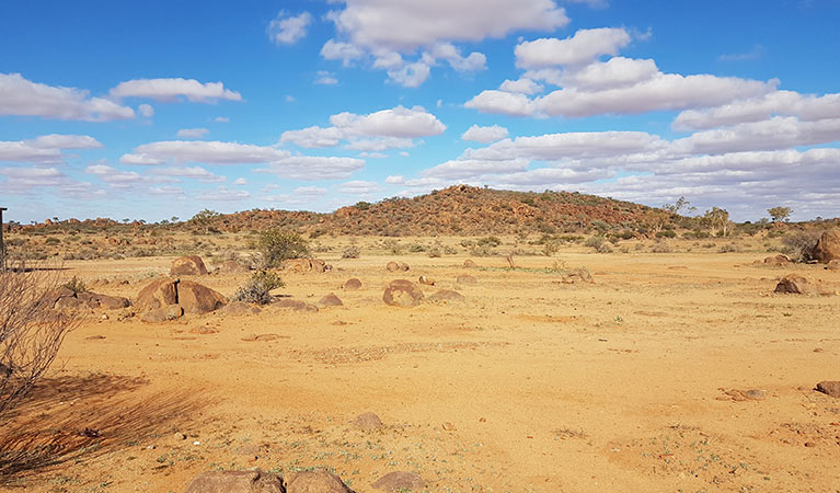 Dead Horse Gully campground in Sturt National Park. Photo: Amanda Cutlack/DPIE