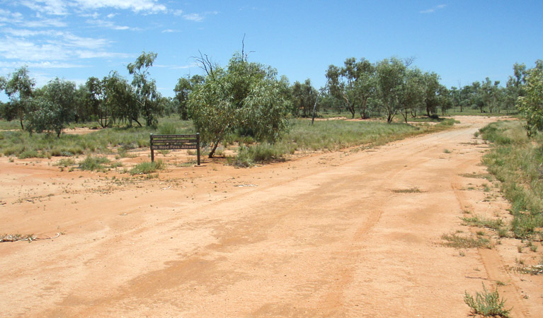 Red sand road, Fort Grey campground, Sturt National Park. Photo: OEH