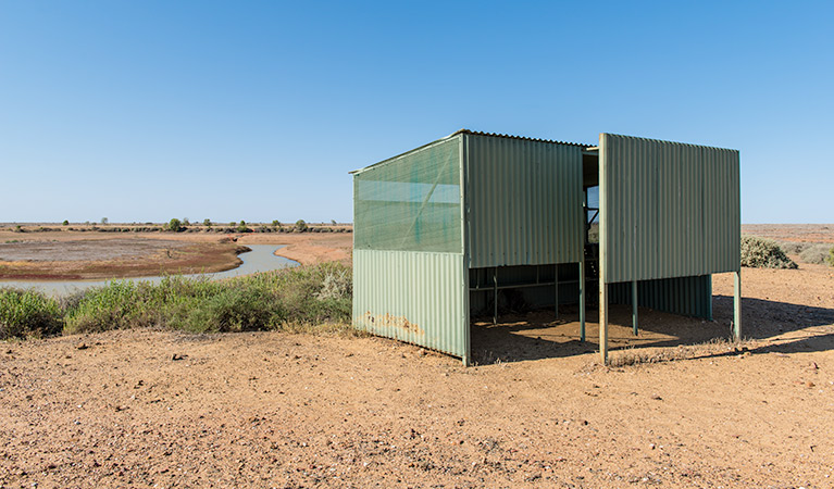 Jump-Up Loop Road drive, Sturt National Park. Photo: John Spencer, OEH