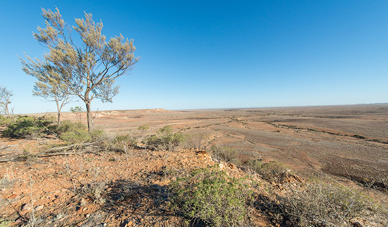 Jump-Up walking track, Sturt National Park. Photo: John Spencer &copy; OEH