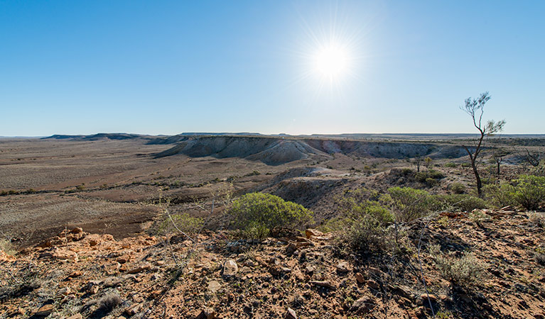 Jump-Up walking track, Sturt National Park. Photo: John Spencer &copy; OEH