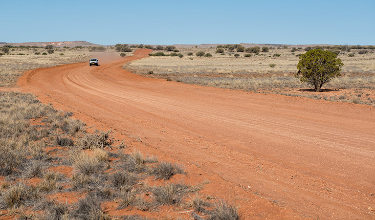 Middle Road drive, Sturt National Park. Photo: John Spencer