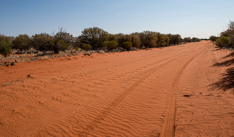 Middle Road drive, Sturt National Park. Photo: John Spencer