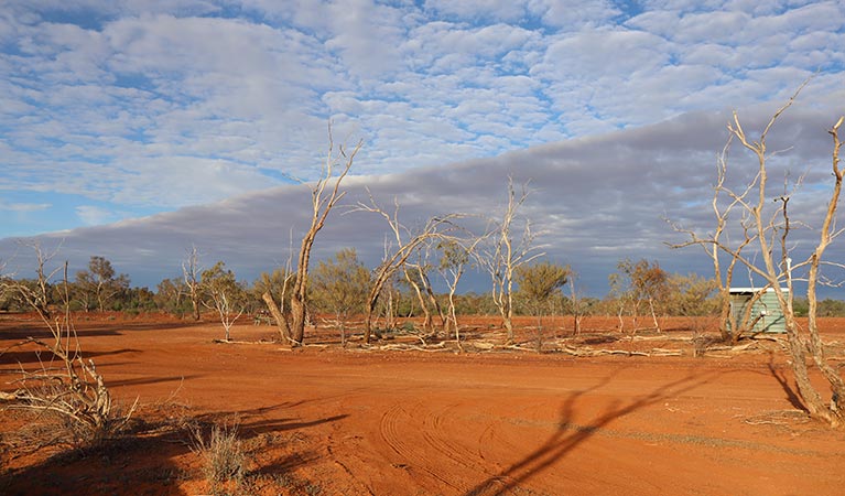 Mount Wood campground. Photo: Amanda Cutlack/DPIE