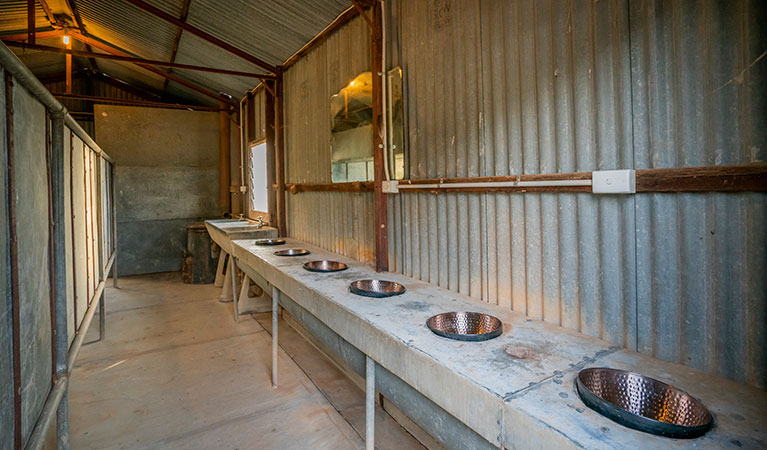 Sinks inside the shower block at Mount Wood Shearers Quarters. Photo: John Spencer/DPIE