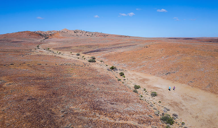 Aerial view of buswalkers on the Mount Wood Summit walking track. Photo: John Spencer &copy; OEH