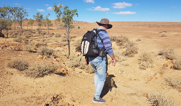 Man bushwalking on Mount Wood Summit walking track in Sturt National Park. Photo: John Spencer