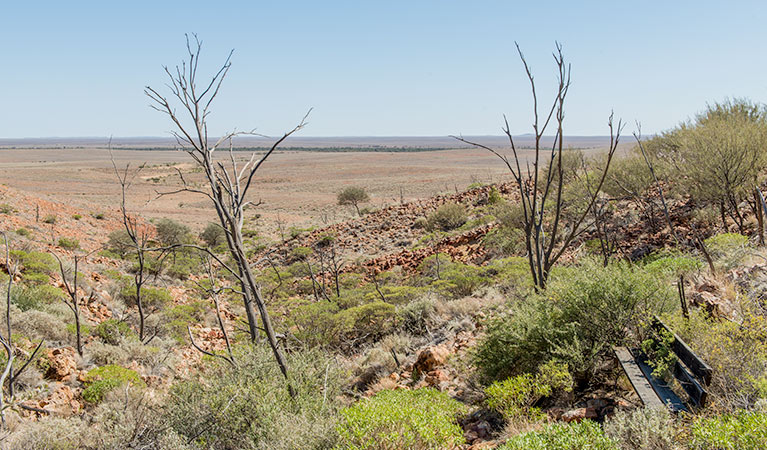 Mount Wood Summit walking track, Sturt National Park. Photo: John Spencer &copy; OEH