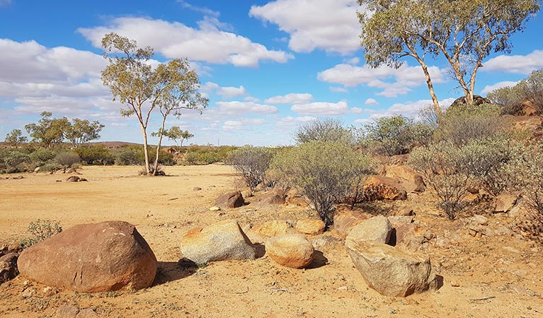 The Granites walking track in Sturt National Park. Photo: Amanda Cutlack &copy; OEH