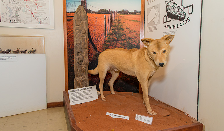 Tibooburra Visitor Centre, Sturt National Park. Photo: John Spencer &copy; OEH