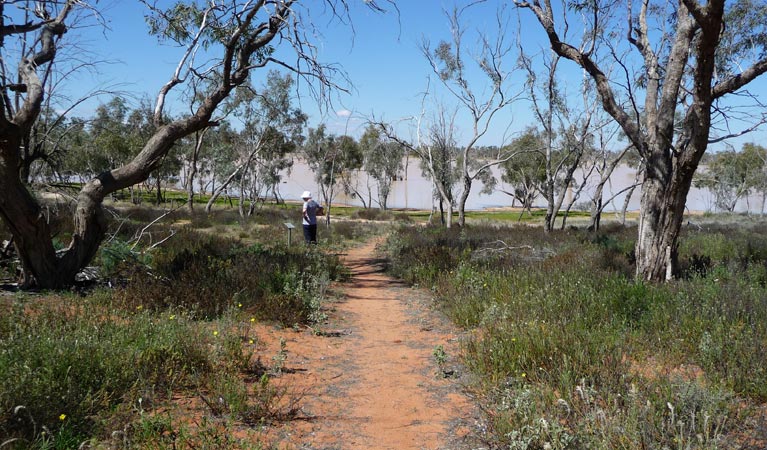 The Wells walk walking track, Sturt National Park. Photo &copy; Natalie Middleton