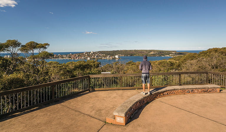 A man takes in views of Manly from Arabanoo lookout, Dobroyd Head, Sydney Harbour National Park. Photo: John Spencer/OEH