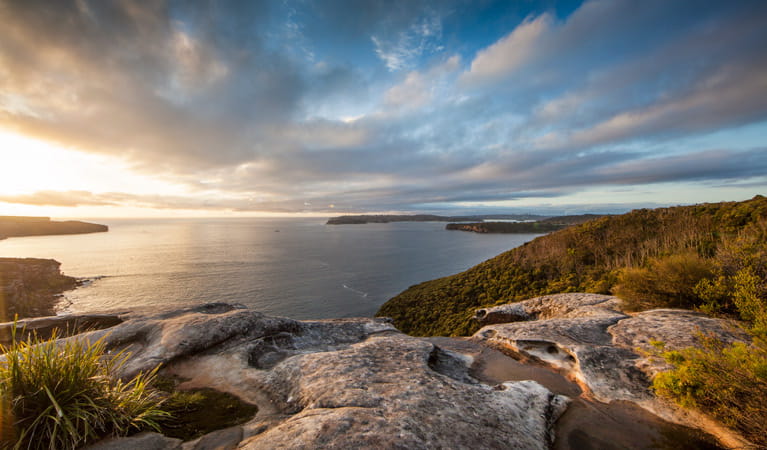 Dobroyd Scenic Drive, Sydney Harbour National Park. Photo: David Finnegan/OEH