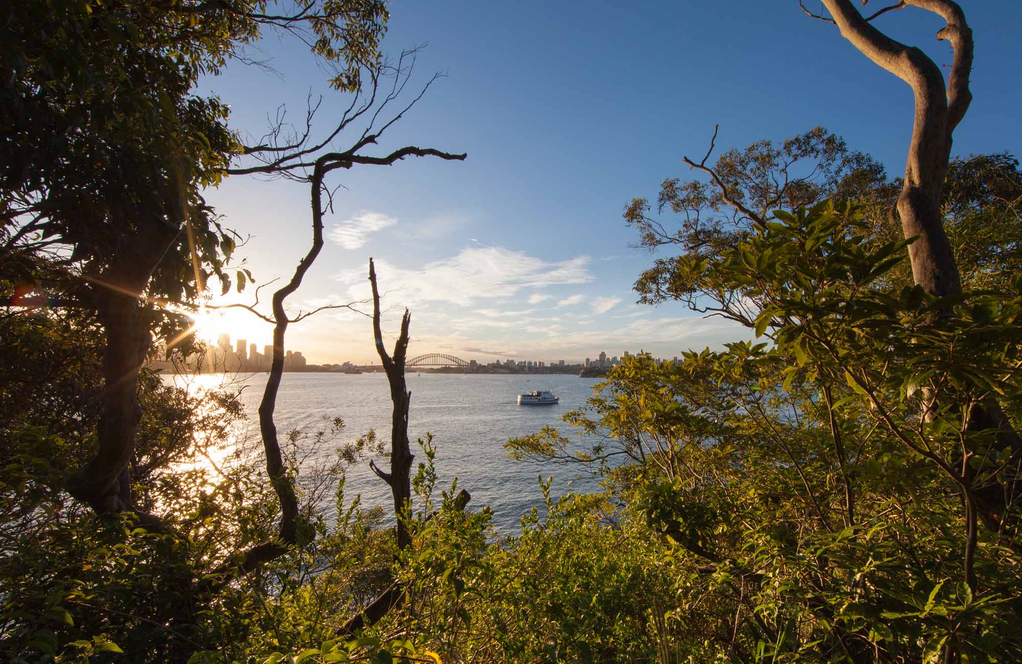 Bradleys Head to Chowder Bay walk | Visitor info | NSW National Parks