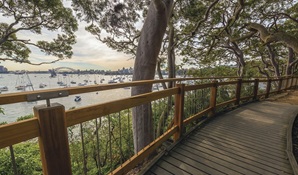 Bradleys Head to Chowder Bay walk, Sydney Harbour National Park. Photo credit: John Spencer &copy; DPIE