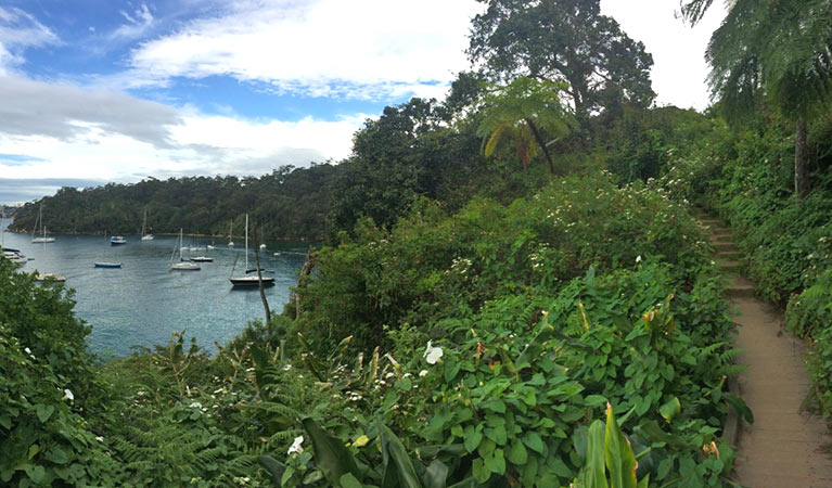 Taylors Bay, along the Bradleys Head to Chowder Bay walk, Sydney Harbour National Park. Photo credit: Elinor Sheargold &copy; DPIE