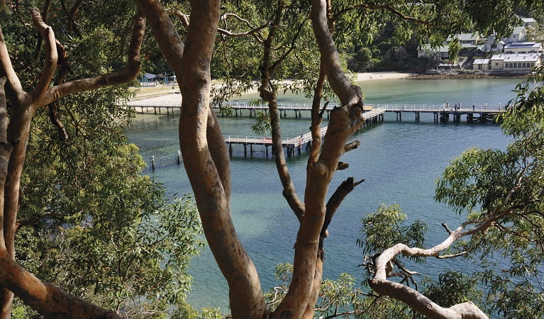 Netted swimming enclosure Chowder Bay – Gooree, Sydney Harbour National Park. Photo credit: K McGrath &copy; DPIE