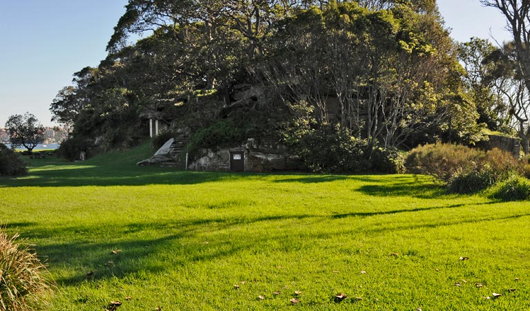 Grass on Clark Island, Sydney Harbour. Photo: Kevin McGrath