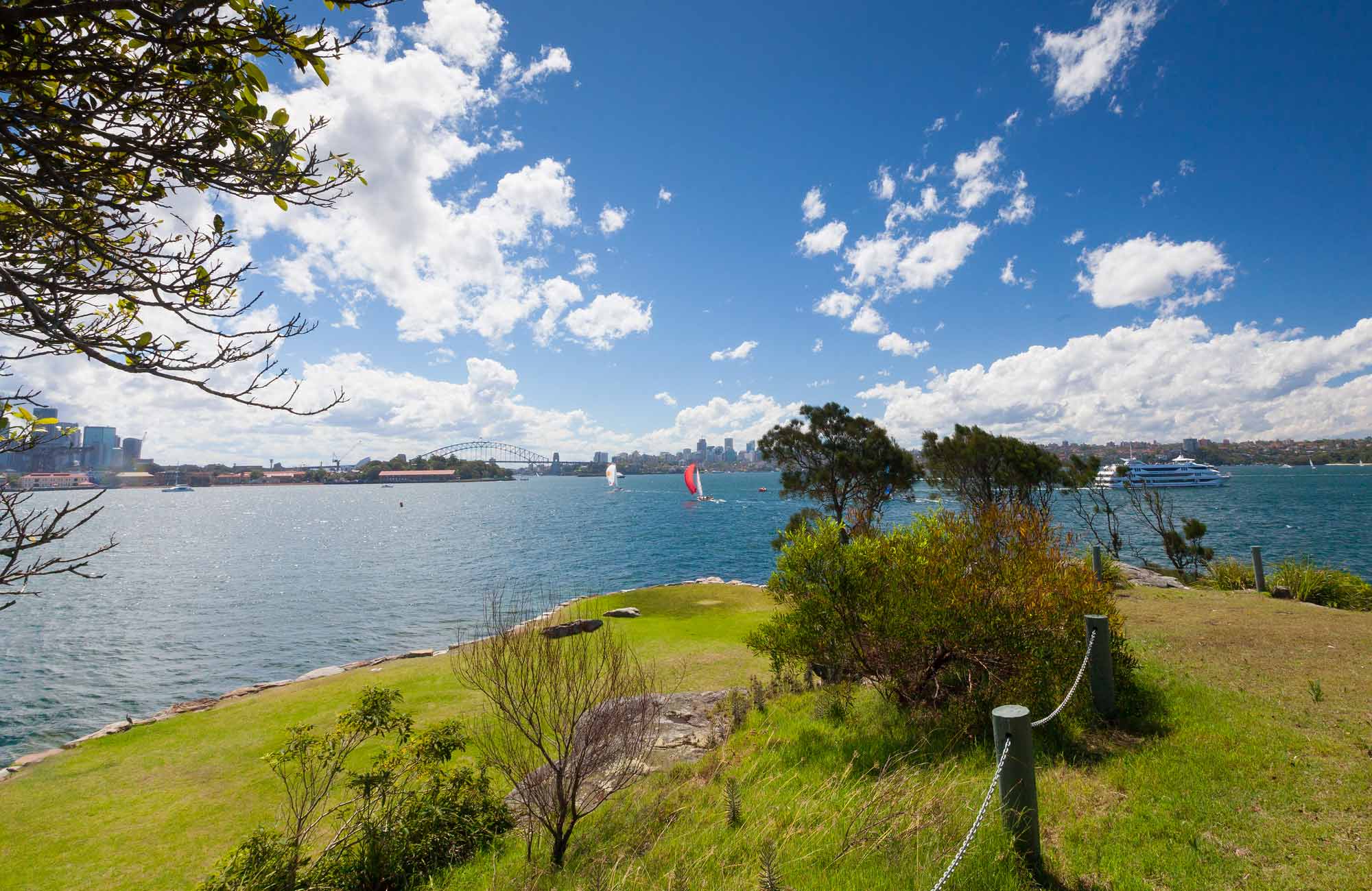 Clark Island, Sydney Harbour National Park. Photo: David Finnegan