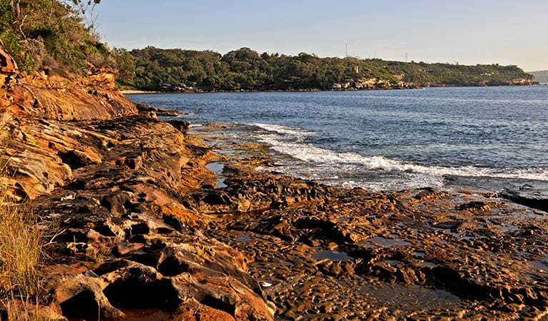 Cobblers Beach, Sydney Harbour National Park. Photo: Kevin McGrath