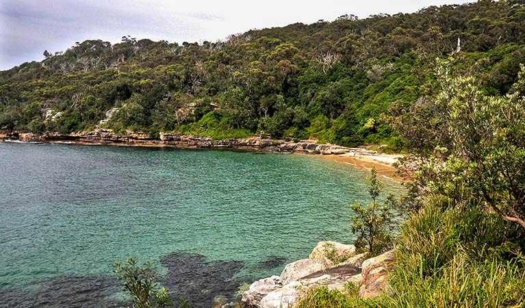 Cobblers Beach, Sydney Harbour National Park. Photo: Kevin McGrath