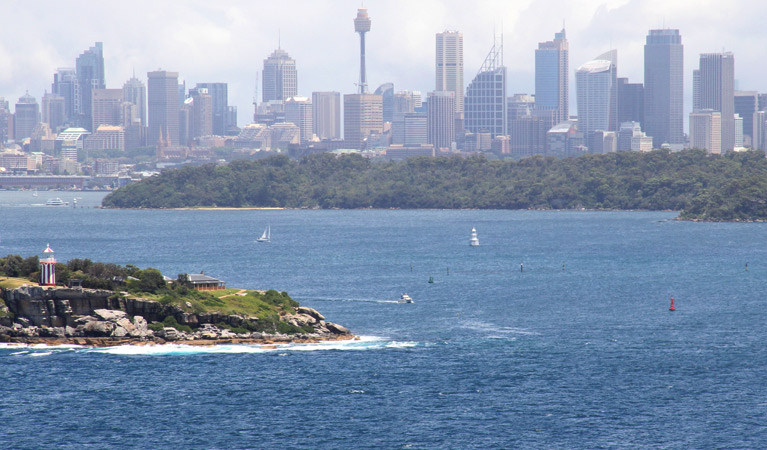 Sydney City skyline view from Fairfax walk. Photo: John Yurasek &copy; OEH