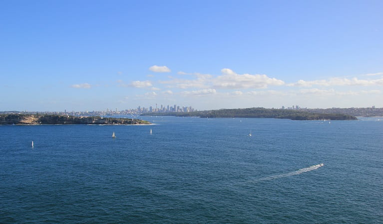 Sydney City skyline view from Fairfax walk. Photo: Natasha Webb/OEH