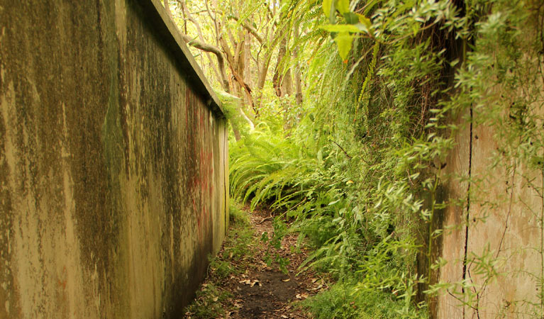 Stone walls at Georges Head military relics, Sydney Harbour National Park. Photo: John Yurasek, &copy; NSW Government