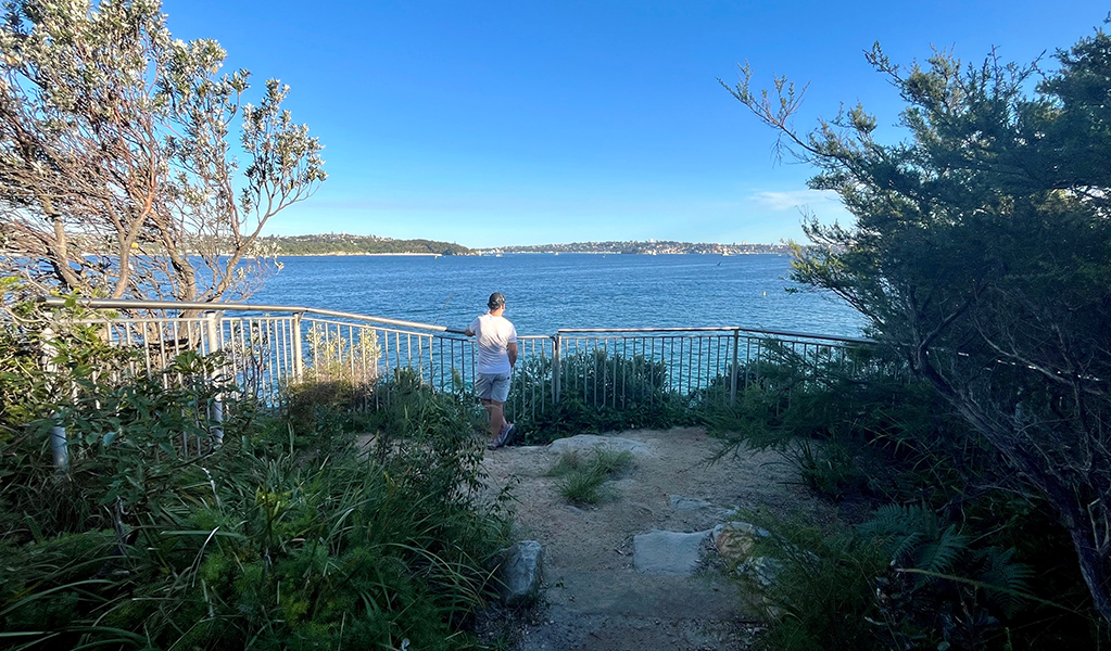 Man surveys the harbour view from a small lookout at Georges Head, one of several in this area. Credit: Natasha Webb &copy;DCCEEW/Natasha Webb