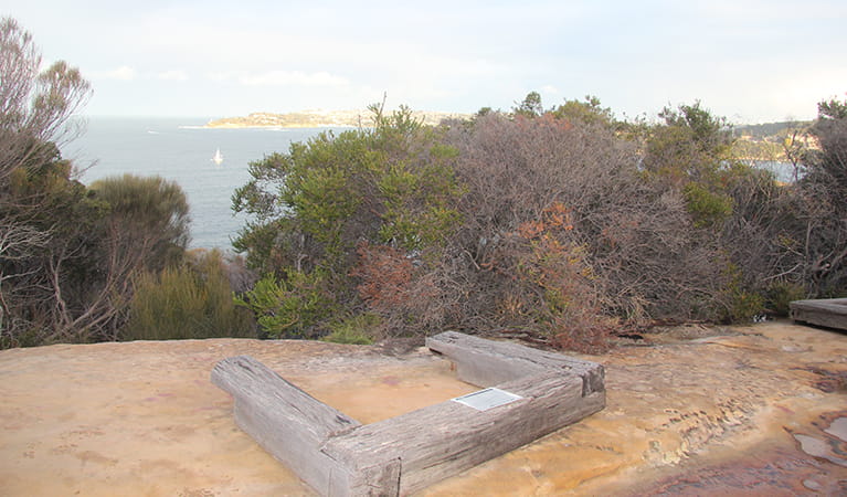 Logs protect Grotto Point Aboriginal engravings just off Manly scenic walkway. Photo: OEH/Natasha Webb