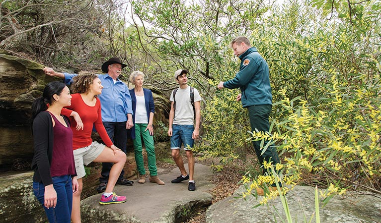 Ranger giving a tour on Hermitage Foreshore track in Nielsen Park. Photo: Simone Cottrell &copy; OEH