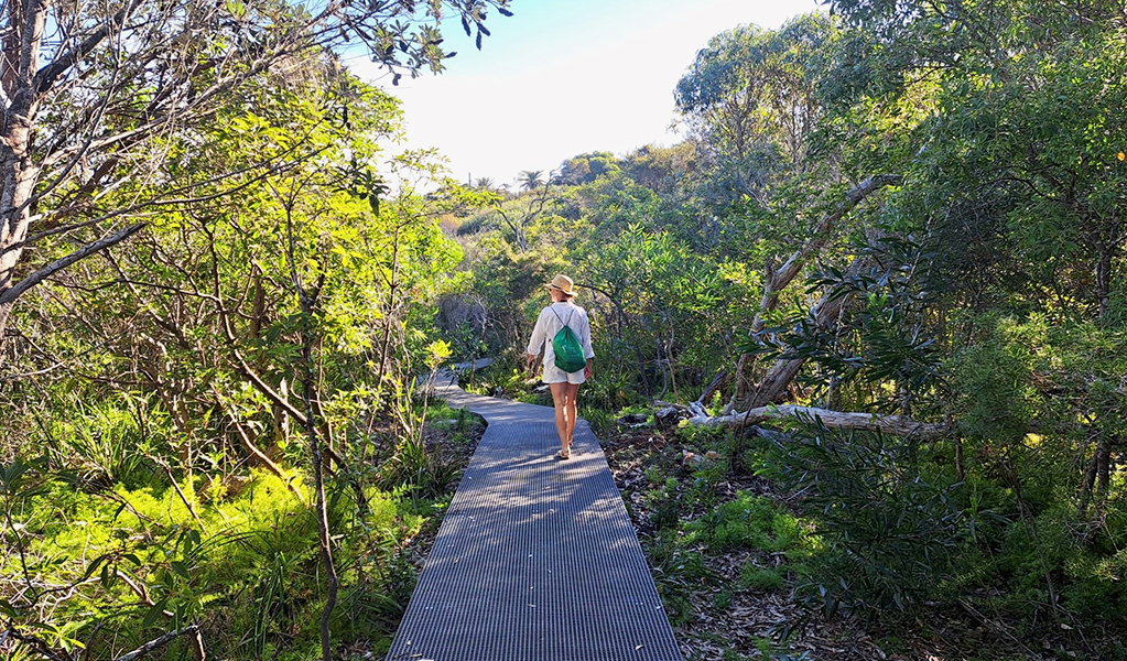 Walker surrounded by bushland on the wide, flat raised track between Middle Head and Georges Head. Credit: Natasha Webb &copy;DCCEEW/Natasha Webb
