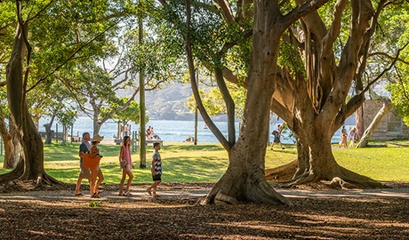 Family walking beneath huge trees in the picnic area with tranquil harbour views in the background at Nielsen Park in Vaucluse. Credit: John Spencer &copy; DCCEEW