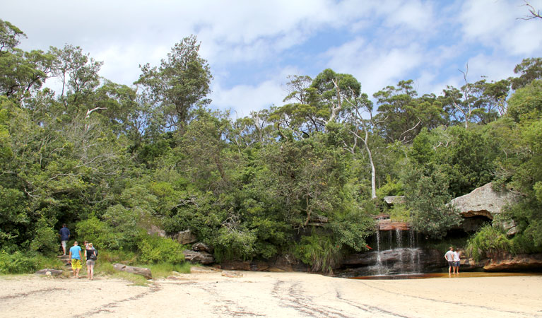 Collins Flat Beach, Sydney Harbour National Park. Photo: John Yurasek/NSW Government