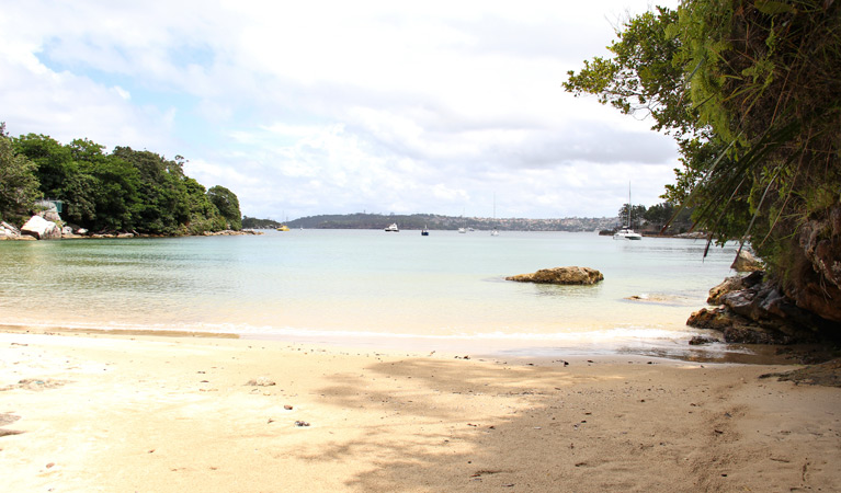 Collins Flat Beach, Sydney Harbour National Park. Photo: John Yurasek/NSW Government