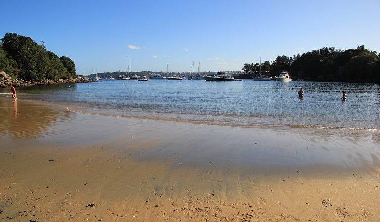 Collins Flat Beach, Sydney Harbour National Park. Photo: Natasha Webb/OEH